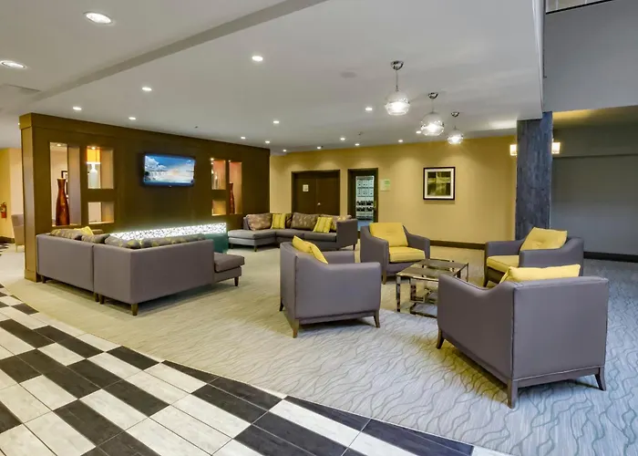 Pets Allowed Hotel Holiday Inn Niagara Falls State Park Entry By Ihg