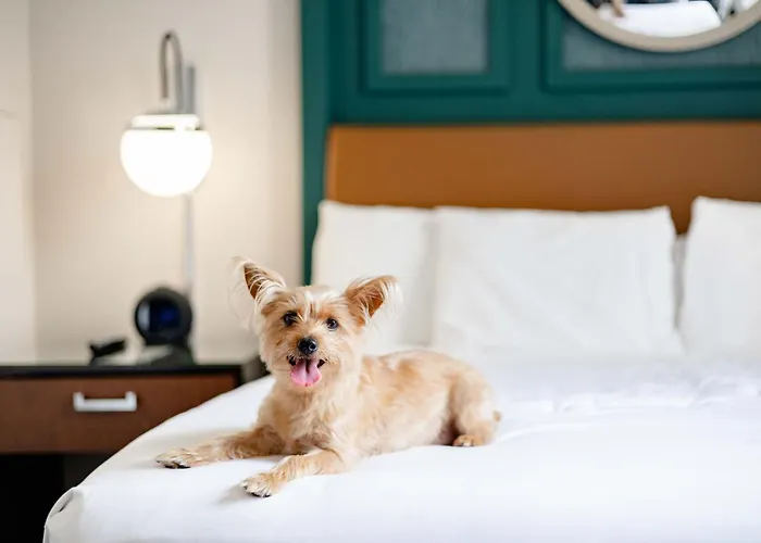 Hyatt Centric French Quarter