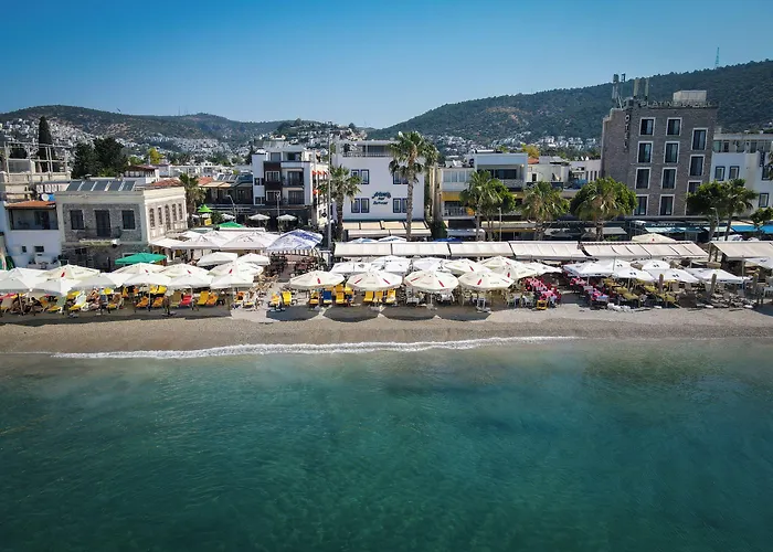 Artemis Hotel