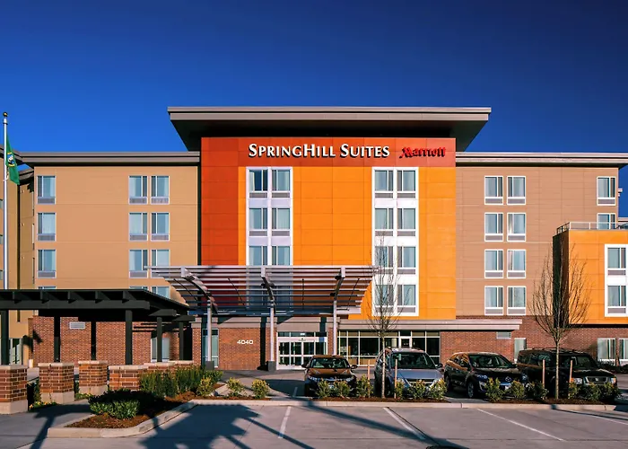 Hot Tub in Room Springhill Suites By Marriott Bellingham