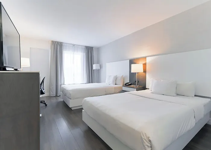 Hotel Universel