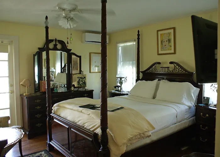 Pets Allowed Hotel Sabal Palm House Bed And Breakfast