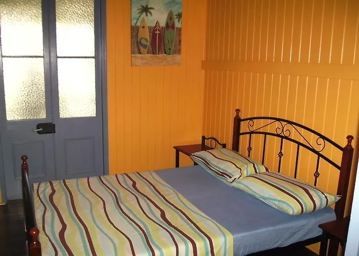Pets Allowed Hotel Mango Tourist