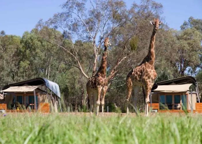 Zoofari Lodge, Taronga Western Plains Zoo