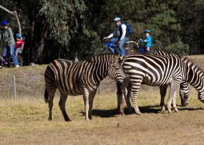 Zoofari Lodge, Taronga Western Plains Zoo