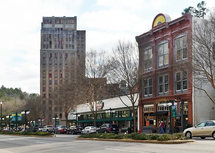 Pet Friendly hotel: Springs Hotel And Spa