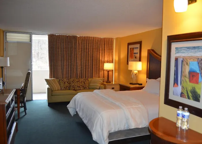 Pet Friendly hotel: Springs Hotel And Spa