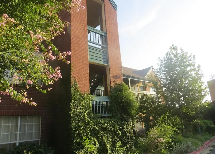 Cheap hotel: Habitat Suites